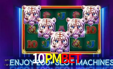 Explorando a Categoria de Eventos em Apostas na 10PMBET